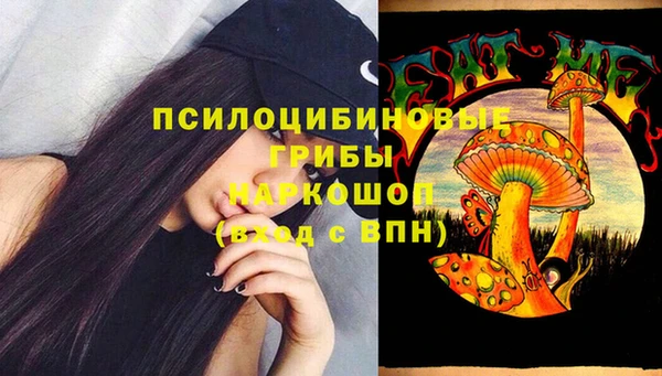 амф Богородицк