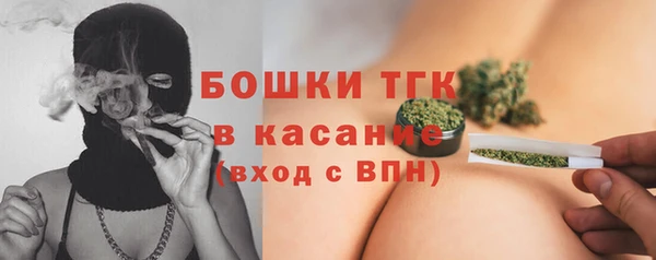 амф Богородицк