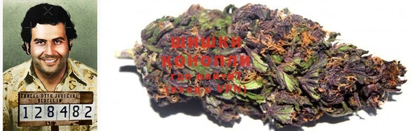 амф Богородицк