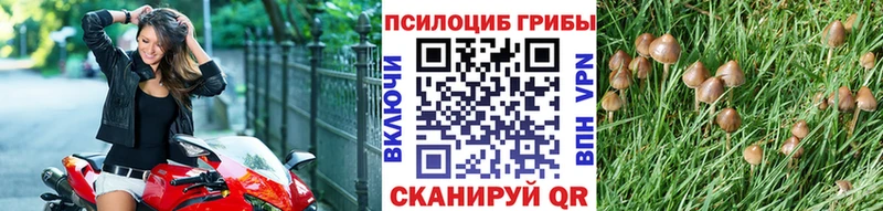 Галлюциногенные грибы ЛСД Пионерский